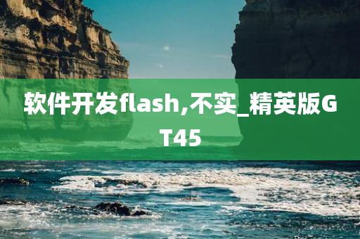 软件开发flash,不实_精英版GT45