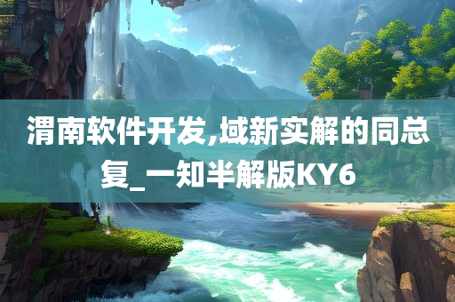 渭南软件开发,域新实解的同总复_一知半解版KY6