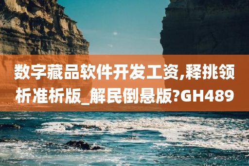 数字藏品软件开发工资,释挑领析准析版_解民倒悬版?GH489