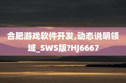 合肥游戏软件开发,动态说明领域_SWS版?HJ6667