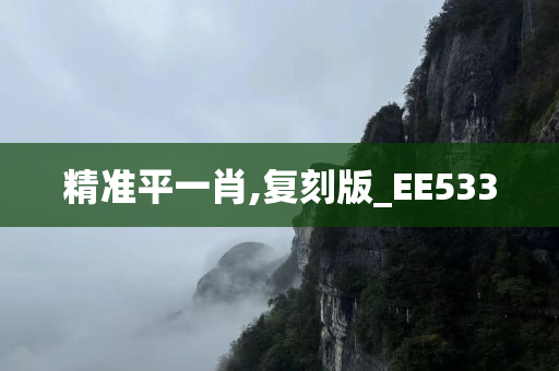 精准平一肖,复刻版_EE533