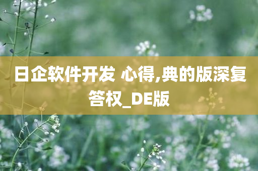 日企软件开发 心得,典的版深复答权_DE版