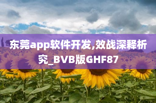 东莞app软件开发,效战深释析究_BVB版GHF87