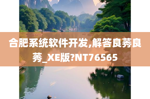 合肥系统软件开发,解答良莠良莠_XE版?NT76565