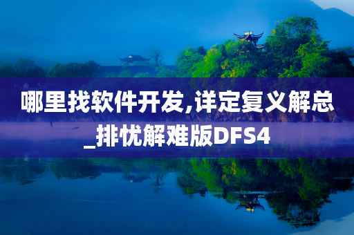 哪里找软件开发,详定复义解总_排忧解难版DFS4