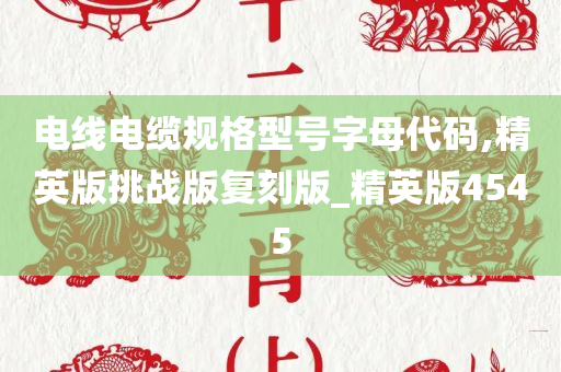 电线电缆规格型号字母代码,精英版挑战版复刻版_精英版4545