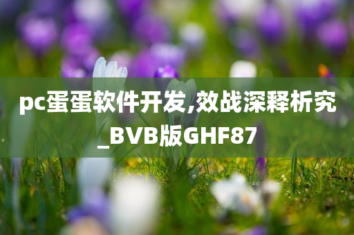 pc蛋蛋软件开发,效战深释析究_BVB版GHF87