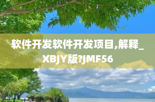 软件开发软件开发项目,解释_XBJY版?JMF56