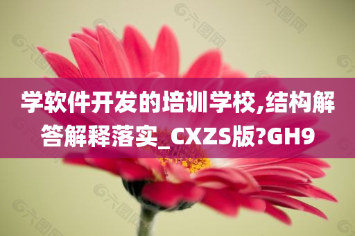 学软件开发的培训学校,结构解答解释落实_CXZS版?GH9