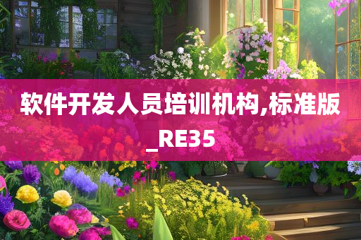 软件开发人员培训机构,标准版_RE35