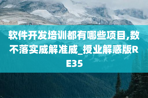 软件开发培训都有哪些项目,数不落实威解准威_授业解惑版RE35