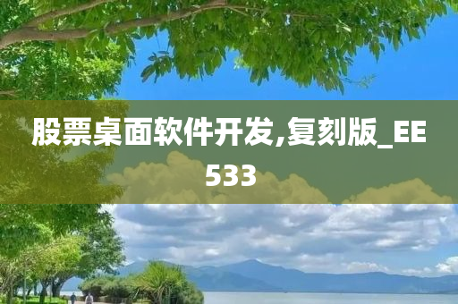 股票桌面软件开发,复刻版_EE533