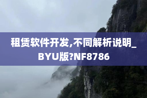 租赁软件开发,不同解析说明_BYU版?NF8786