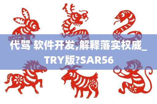 代驾 软件开发,解释落实权威_TRY版?SAR56