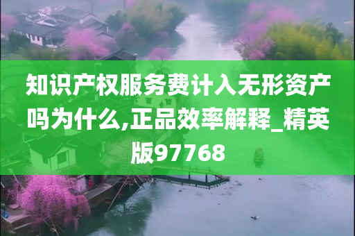 知识产权服务费计入无形资产吗为什么,正品效率解释_精英版97768