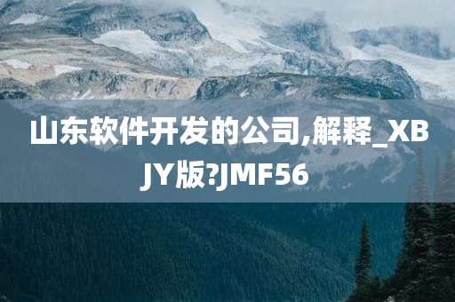 山东软件开发的公司,解释_XBJY版?JMF56