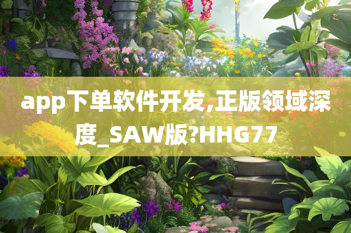 app下单软件开发,正版领域深度_SAW版?HHG77