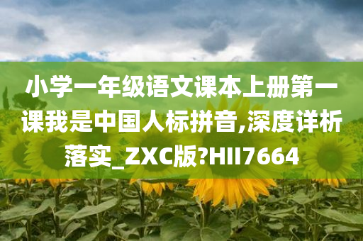 小学一年级语文课本上册第一课我是中国人标拼音,深度详析落实_ZXC版?HII7664