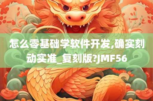 怎么零基础学软件开发,确实刻动实准_复刻版?JMF56