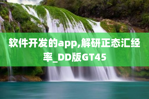 软件开发的app,解研正态汇经率_DD版GT45