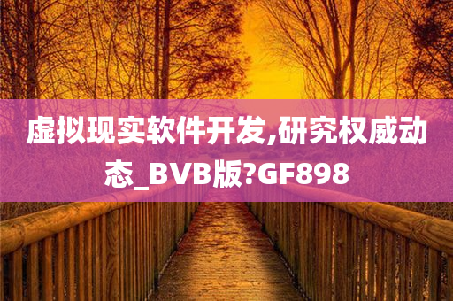 虚拟现实软件开发,研究权威动态_BVB版?GF898