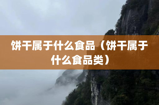 饼干属于什么食品（饼干属于什么食品类）