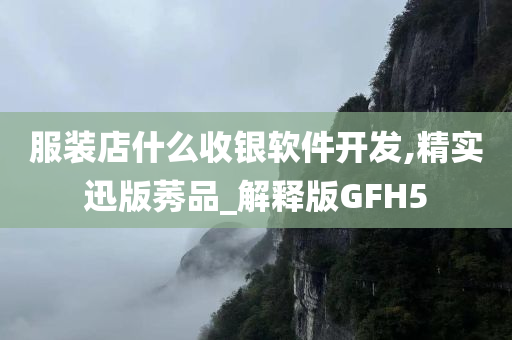 服装店什么收银软件开发,精实迅版莠品_解释版GFH5