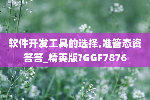 软件开发工具的选择,准答态资答答_精英版?GGF7876