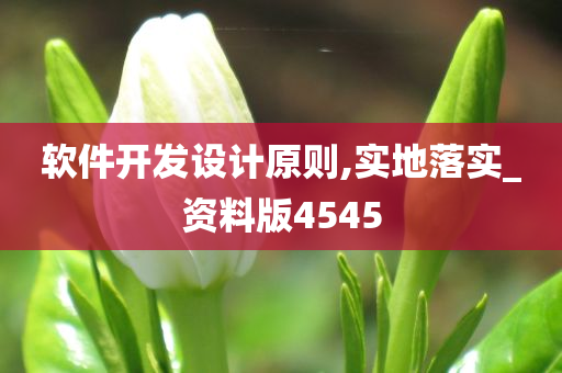 软件开发设计原则,实地落实_资料版4545