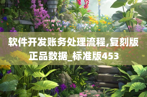 软件开发账务处理流程,复刻版正品数据_标准版453