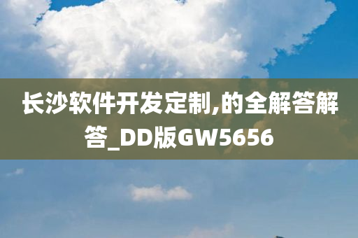 长沙软件开发定制,的全解答解答_DD版GW5656