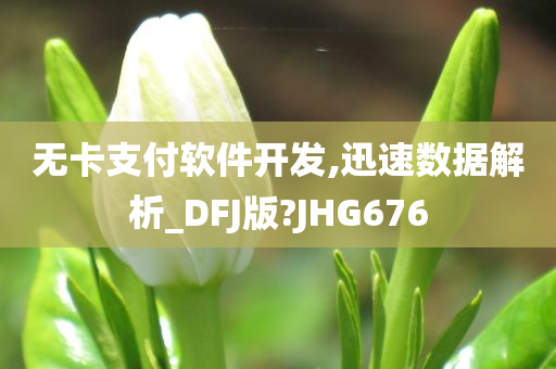 无卡支付软件开发,迅速数据解析_DFJ版?JHG676