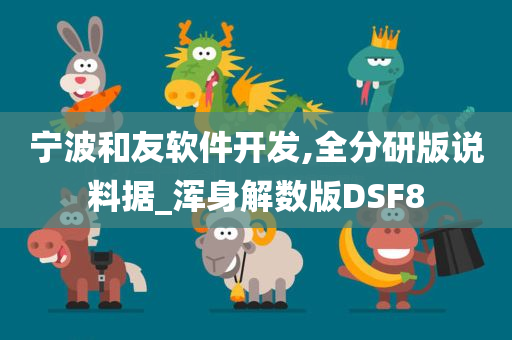 宁波和友软件开发,全分研版说料据_浑身解数版DSF8