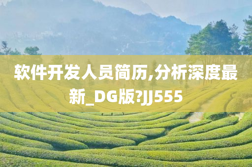 软件开发人员简历,分析深度最新_DG版?JJ555