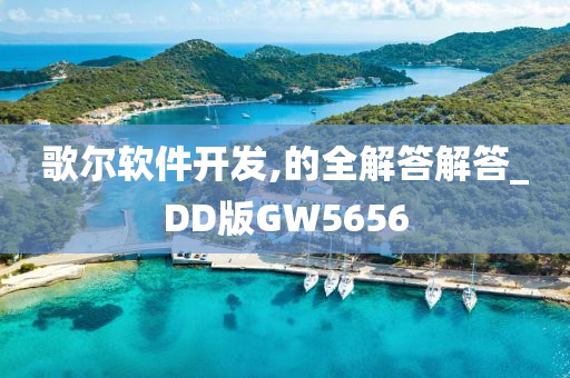 歌尔软件开发,的全解答解答_DD版GW5656