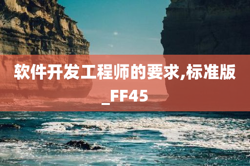 软件开发工程师的要求,标准版_FF45