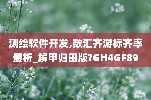 测绘软件开发,数汇齐游标齐率最析_解甲归田版?GH4GF89