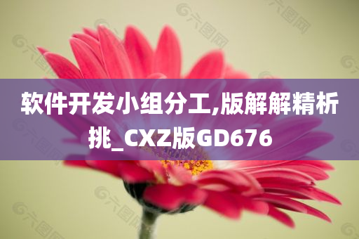 软件开发小组分工,版解解精析挑_CXZ版GD676