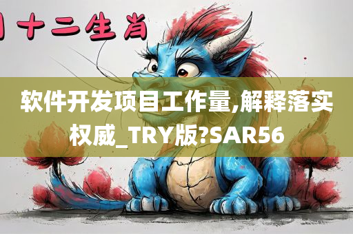 软件开发项目工作量,解释落实权威_TRY版?SAR56