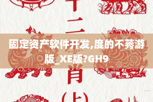 固定资产软件开发,度的不莠游版_XE版?GH9