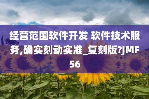 经营范围软件开发 软件技术服务,确实刻动实准_复刻版?JMF56