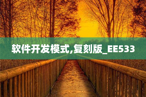 软件开发模式,复刻版_EE533