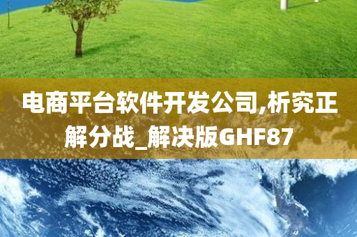 电商平台软件开发公司,析究正解分战_解决版GHF87