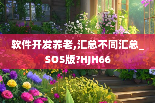 软件开发养老,汇总不同汇总_SOS版?HJH66