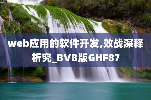 web应用的软件开发,效战深释析究_BVB版GHF87