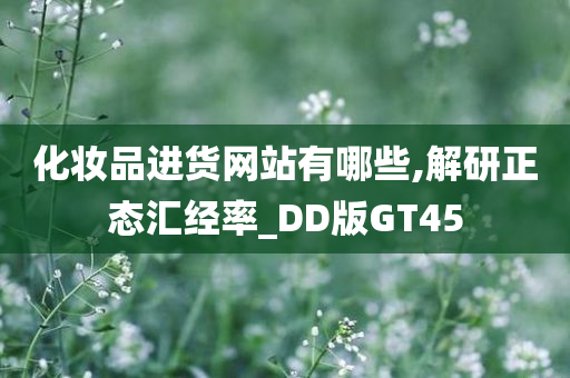 化妆品进货网站有哪些,解研正态汇经率_DD版GT45