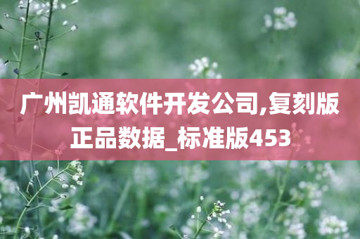 广州凯通软件开发公司,复刻版正品数据_标准版453