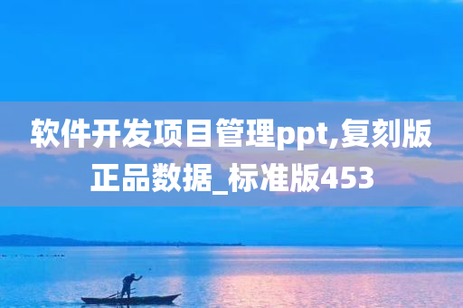 软件开发项目管理ppt,复刻版正品数据_标准版453