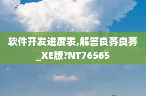 软件开发进度表,解答良莠良莠_XE版?NT76565