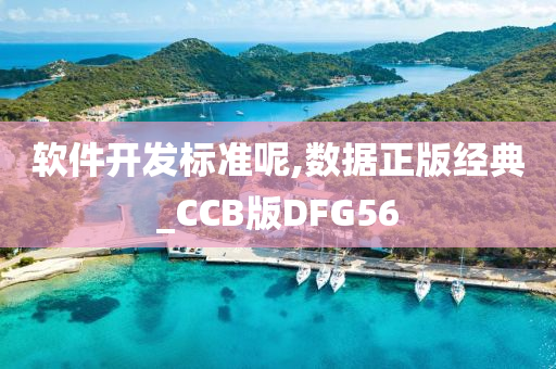 软件开发标准呢,数据正版经典_CCB版DFG56